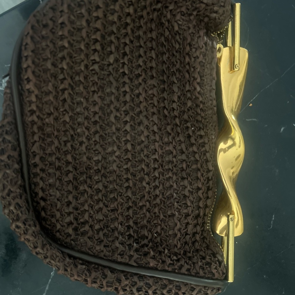 Zara mini Woven Clutch with Gold Hardware